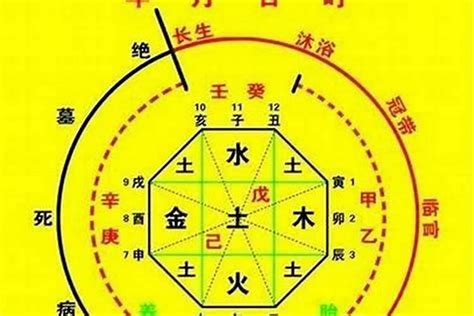 喜用水|八字喜水是什么意思